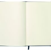 ARCONOT PLAIN