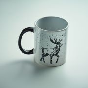 FESTIMUG