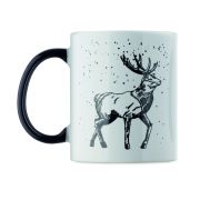 FESTIMUG