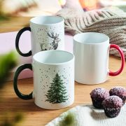 FESTIMUG