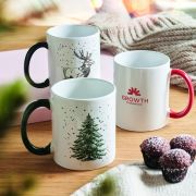 FESTIMUG