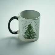 FESTIMUG