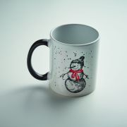 FESTIMUG